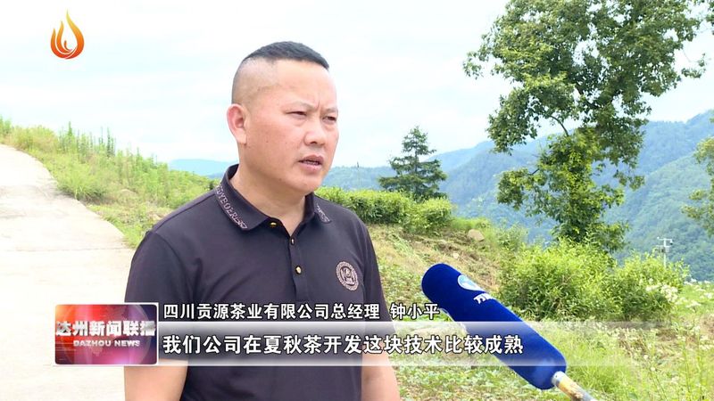 有关于万源：发展夏秋茶 “废叶”变“金叶”的资讯(3)