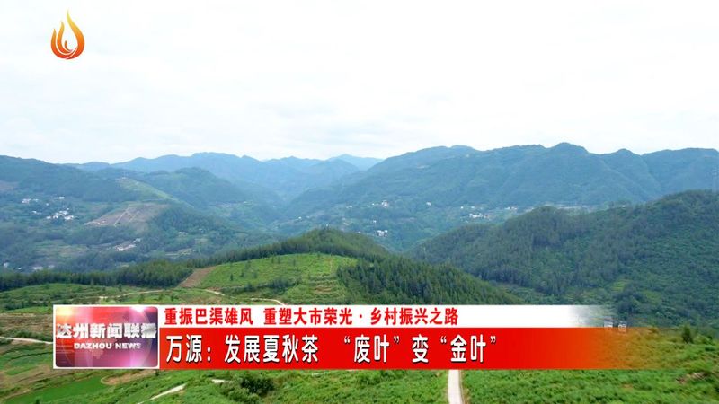 有关于万源：发展夏秋茶 “废叶”变“金叶”的资讯(2)