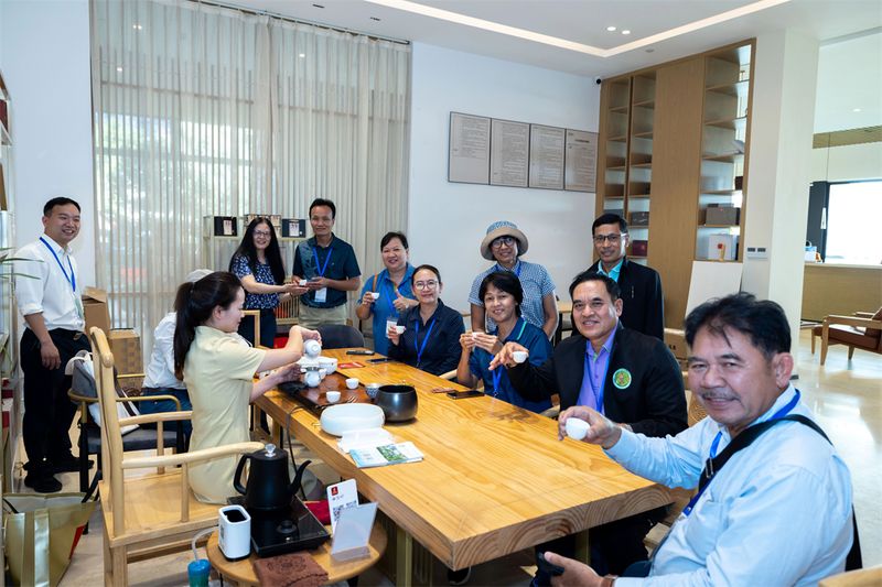 关于泰国研修班到安溪体验茶文化的最新消息(6)