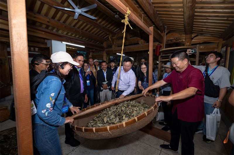 关于泰国研修班到安溪体验茶文化的最新消息(2)