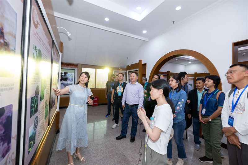 关于泰国研修班到安溪体验茶文化的最新消息(5)