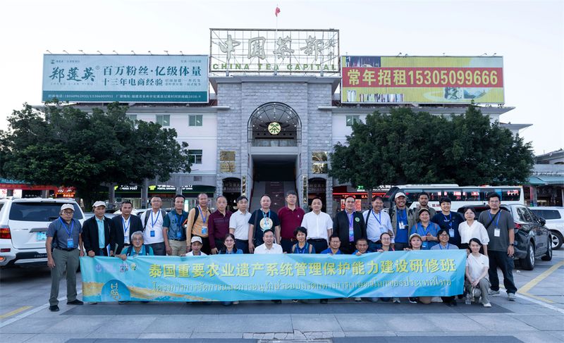 关于泰国研修班到安溪体验茶文化的最新消息