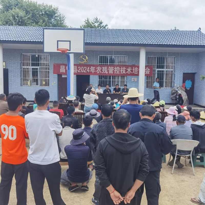 关于昌宁勐统：技术培训助力茶产业发展的相关信息