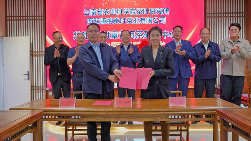 关于见证科企深度协作 助力产学研用融合——云南省普洱茶协会出席云南省农业科学院茶叶研究所活动的相关信息(3)