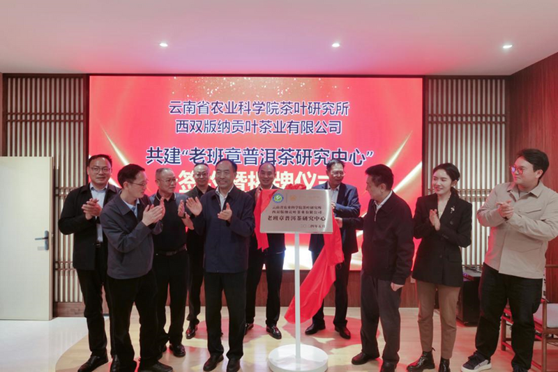 关于见证科企深度协作 助力产学研用融合——云南省普洱茶协会出席云南省农业科学院茶叶研究所活动的相关信息(4)