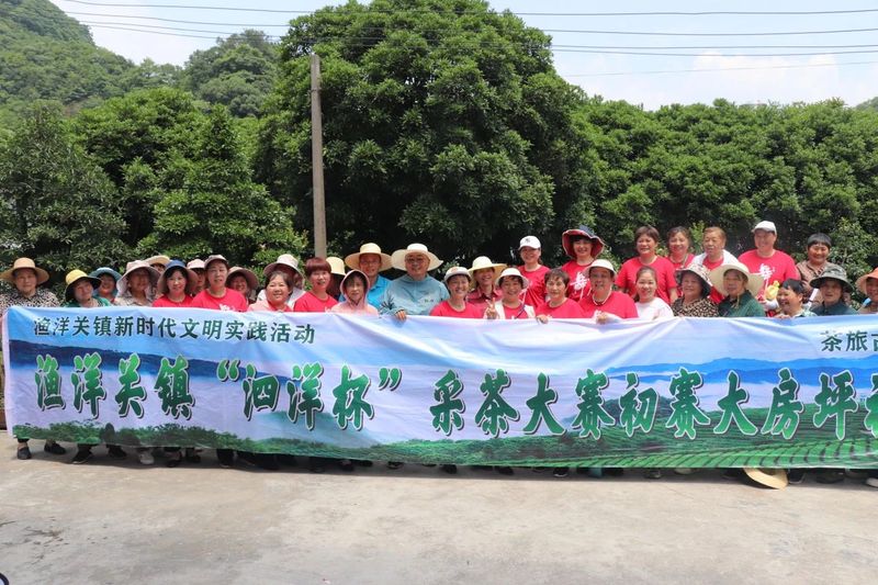 有关于大房坪社区51名采茶高手同场竞技大比武的资讯(4)