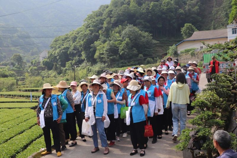 有关于大房坪社区51名采茶高手同场竞技大比武的资讯