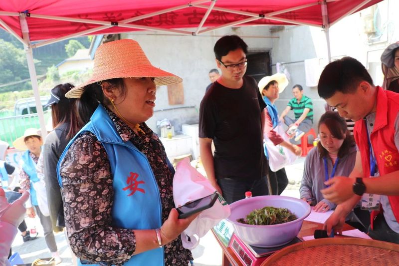有关于大房坪社区51名采茶高手同场竞技大比武的资讯(2)