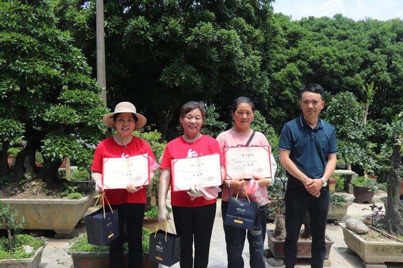 有关于大房坪社区51名采茶高手同场竞技大比武的资讯(3)