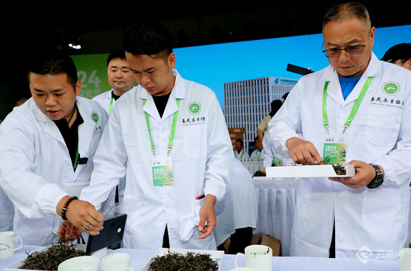 关于勐腊举办国际贡茶文化节暨第十二届斗茶大会的新闻(1)