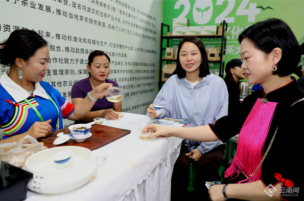 关于勐腊举办国际贡茶文化节暨第十二届斗茶大会的新闻(2)