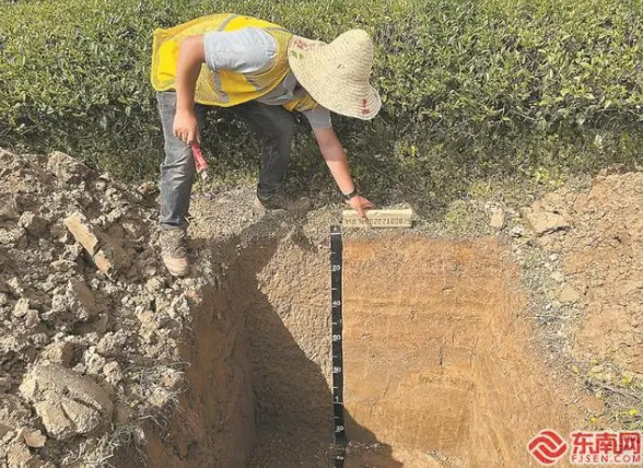 关于破解武夷山产好茶的“土壤密码”的相关信息