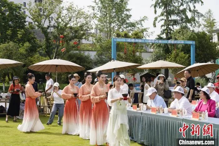 关于“建阳小白茶”公共品牌高质量发展推进行动举行的相关内容(2)