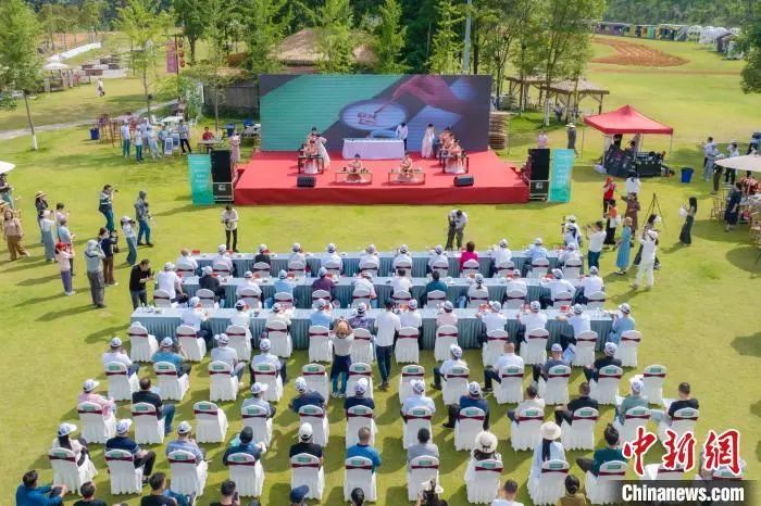 关于“建阳小白茶”公共品牌高质量发展推进行动举行的相关内容