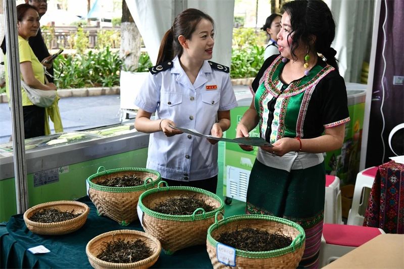 有关于 夏雨润茶添新绿 税宣为茶产业发展添彩的资讯(5)