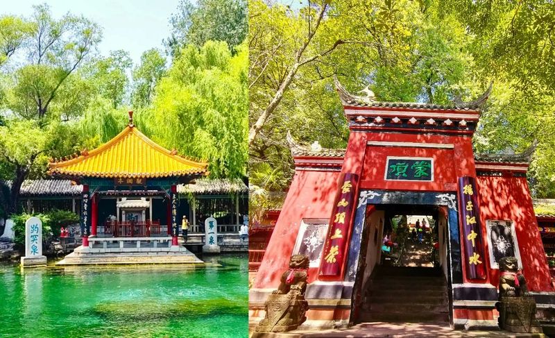 关于雅茶中国行·相约济南活动正式开启的最新消息(11)