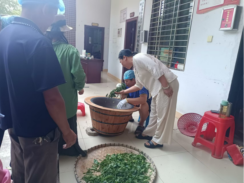 有关于南开乡牙佬村多点发力培育古树茶品牌 助力培育本土高质量茶产业的新闻(2)