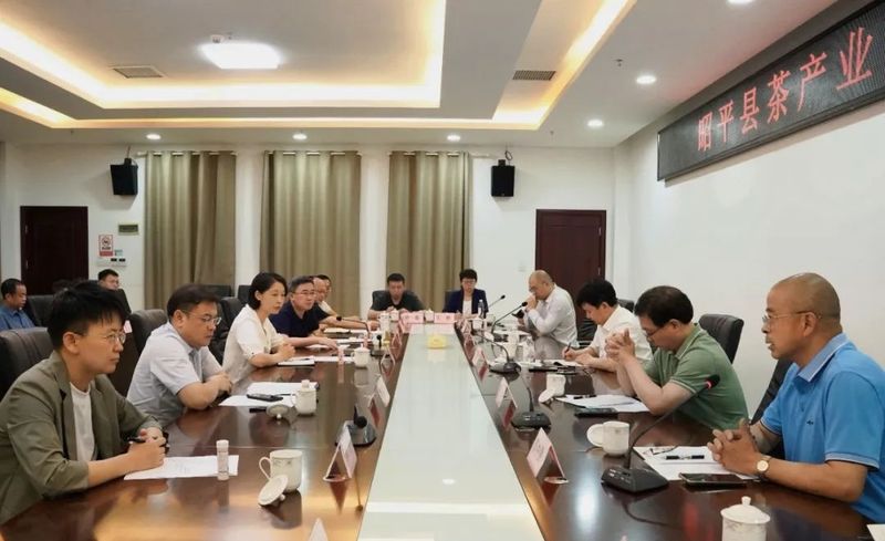 关于浙江专家团队到昭平县开展茶产业发展调研的消息