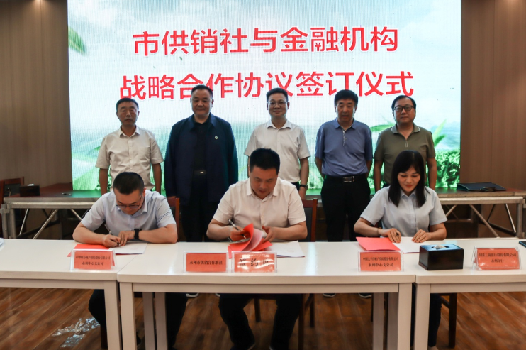 关于2024年永州市茶产业高质量发展研讨会召开的相关信息(5)