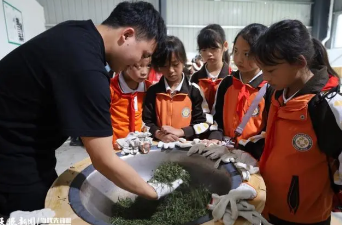 关于务川分水镇：研学热加速茶文旅融合的资讯(2)