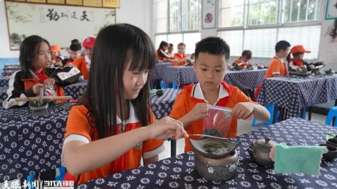 关于务川分水镇：研学热加速茶文旅融合的资讯(4)