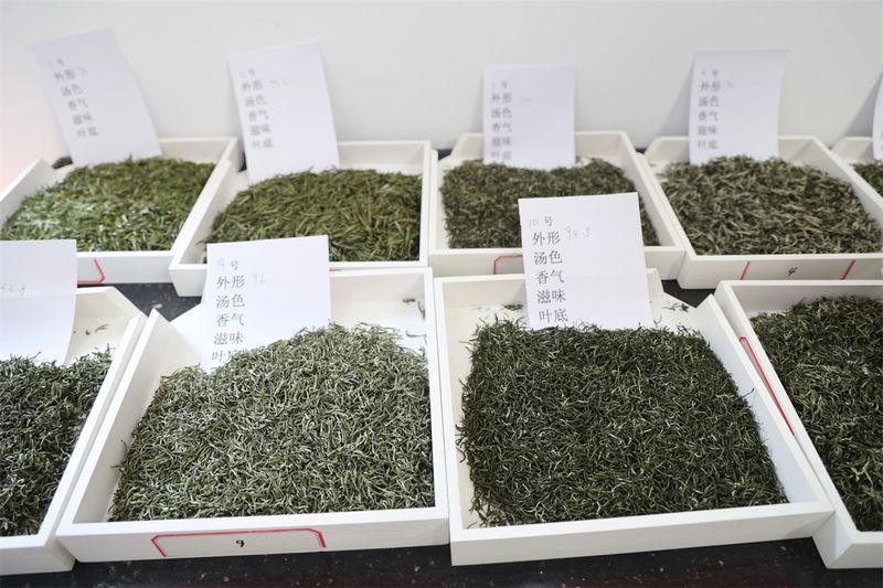 有关于首届“汉滨陕茶一号”质量评比结果揭晓的信息(2)