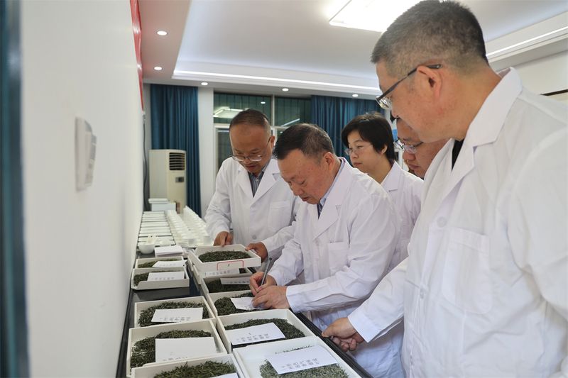 有关于首届“汉滨陕茶一号”质量评比结果揭晓的信息