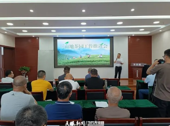 关于湄潭核桃坝村:小茶叶绘就乡村振兴“美丽新画卷”的新闻(4)