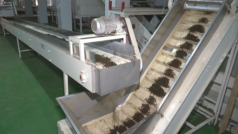 关于从茶苗到茶杯“标准化” 茶界专家把脉六堡茶产业标准化发展的最新消息(4)