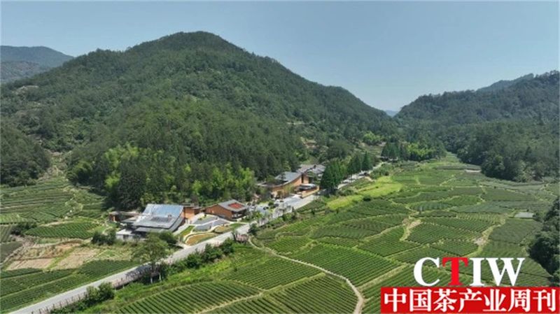 关于探寻茶产业融合发展 三茶体验馆展正式落成的新闻(2)