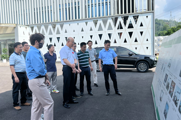 关于中国农技协一行到昭平开展茶产业发展调研的最新消息(1)