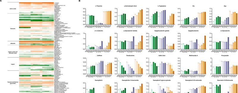 关于四川茶叶研究所：紫鹃、中黄1号和福鼎大白鲜叶萎凋过程中挥发物和风味物质的动态变化的相关内容(4)