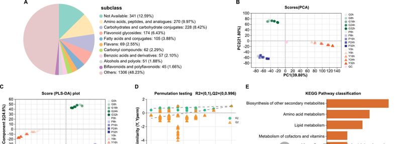关于四川茶叶研究所：紫鹃、中黄1号和福鼎大白鲜叶萎凋过程中挥发物和风味物质的动态变化的相关内容(3)