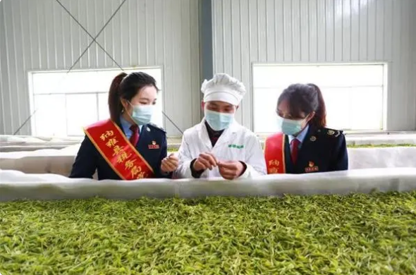 关于毕节税务：向新而进助热“茶叶经济”的相关信息(1)