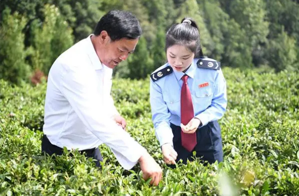 关于毕节税务：向新而进助热“茶叶经济”的相关信息