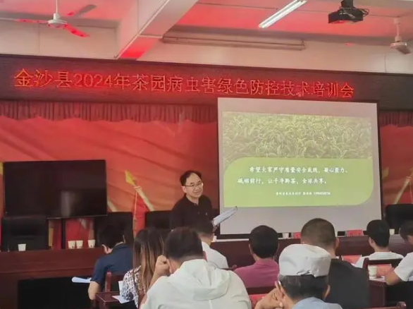 有关于贵州省茶叶专班到金沙县开展茶园夏季管理培训的资讯