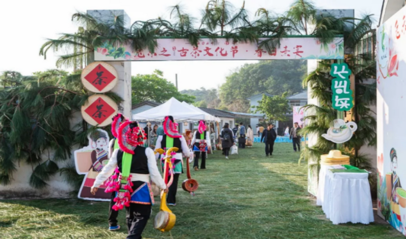 有关于云南农业大学茶学院科技特派员助力南华兔街茶产业转型升级的相关内容(2)