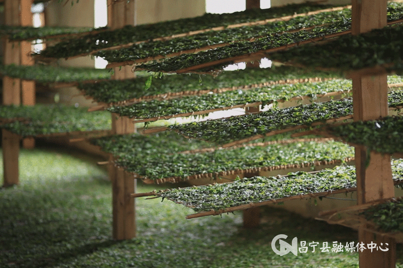 有关于昌宁县着力培育“昌宁红茶”品牌 促茶产业高质量发展的最新消息(5)