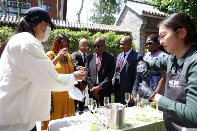 关于国际茶日 “偶得茶荟”以东方古茶会中外友人的新闻(4)