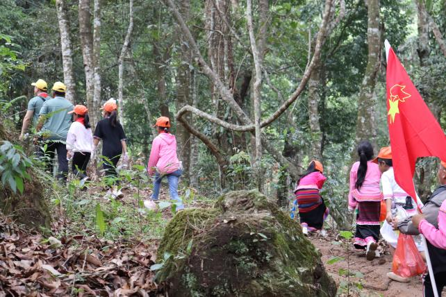 有关于西定乡开展“小手拉大手·章朗古茶山绿美研学”活动的信息(1)