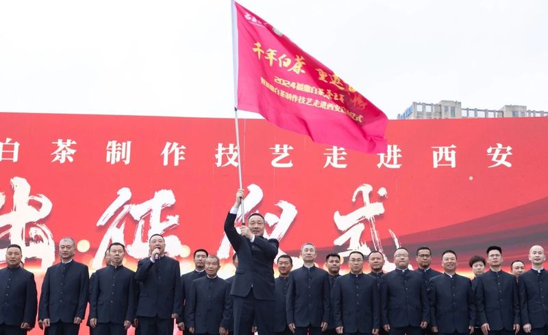 关于启动重磅赛事！“出征”西安！福鼎白茶有这些大动作→的相关信息(7)
