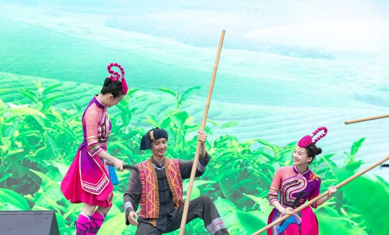 关于启动重磅赛事！“出征”西安！福鼎白茶有这些大动作→的相关信息(8)