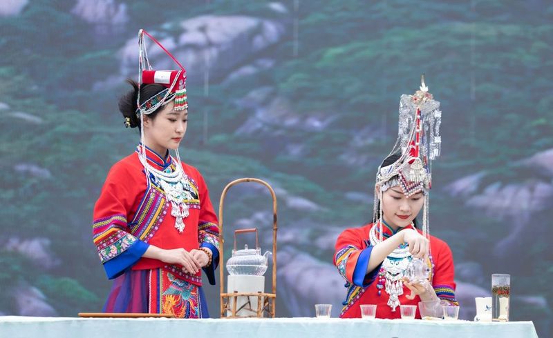 关于启动重磅赛事！“出征”西安！福鼎白茶有这些大动作→的相关信息(10)