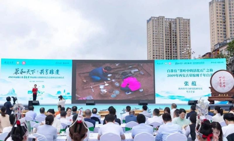 关于启动重磅赛事！“出征”西安！福鼎白茶有这些大动作→的相关信息(5)