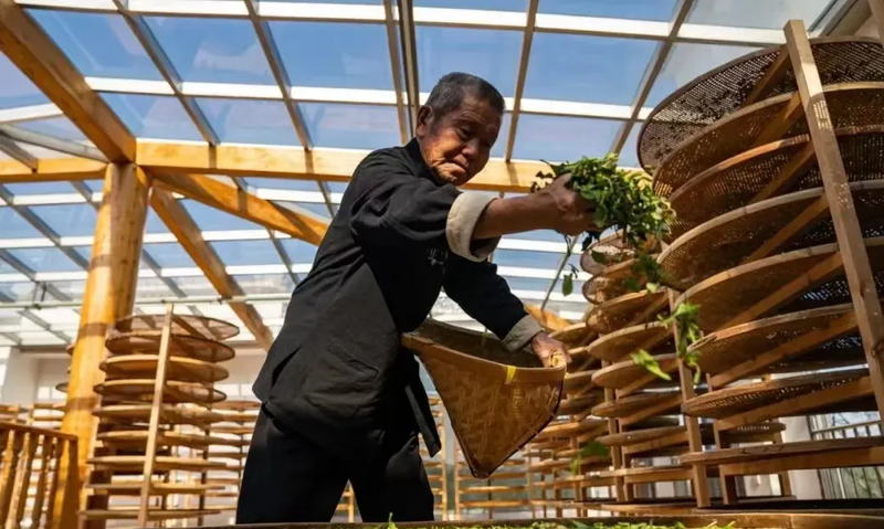 关于启动重磅赛事！“出征”西安！福鼎白茶有这些大动作→的相关信息(14)