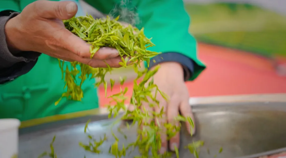 有关于西湖龙井品牌价值达84.35亿元 连续6年位居榜首的信息