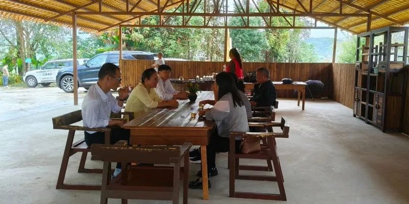 有关于民建临沧市支部领导到沧源自治县调研茶叶产业发展情况的新闻