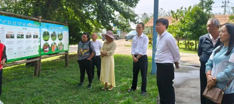 有关于民建临沧市支部领导到沧源自治县调研茶叶产业发展情况的新闻(1)