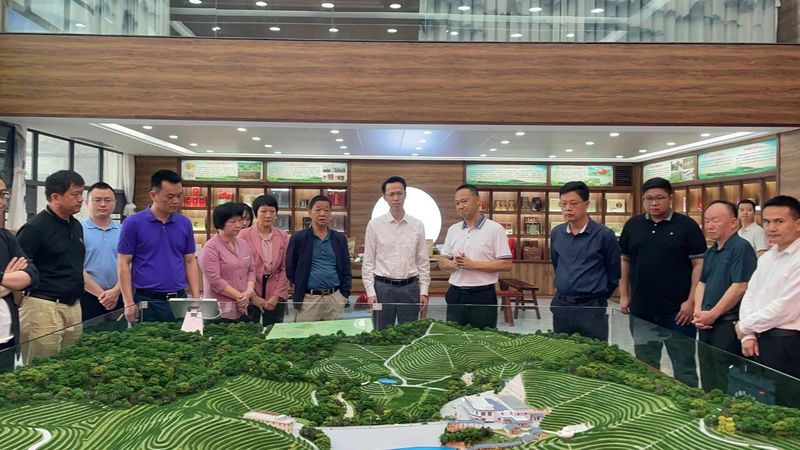 有关于做优特色茶产业 走好绿色振兴路  梅州开展茶产业高质量发展座谈交流活动的资讯