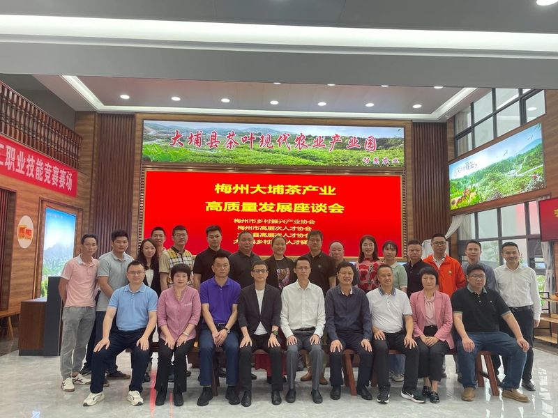 有关于做优特色茶产业 走好绿色振兴路  梅州开展茶产业高质量发展座谈交流活动的资讯(4)